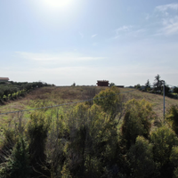 Terreno agricolo sopraelevato Ardea vicino mare