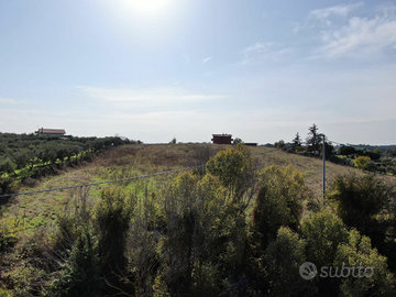 Terreno agricolo sopraelevato Ardea vicino mare