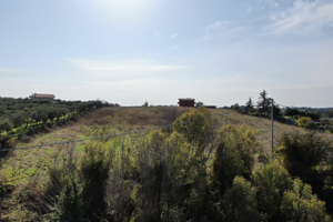 Terreno agricolo sopraelevato Ardea vicino mare