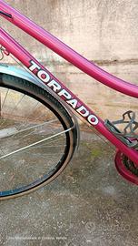 bicicletta da donna 