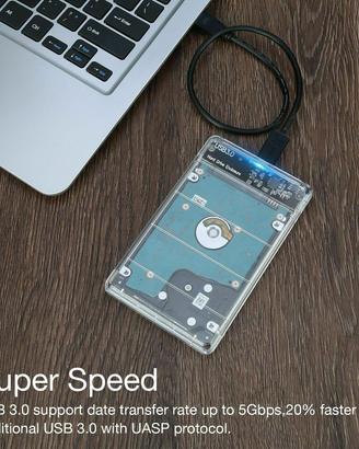 Hard Disk da 250 Gb  da 2,5" con custodia