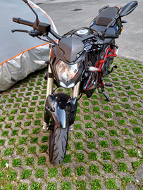 Certo moto custom 125