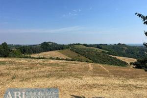 Terreno di 1300000 m² a Brisighella