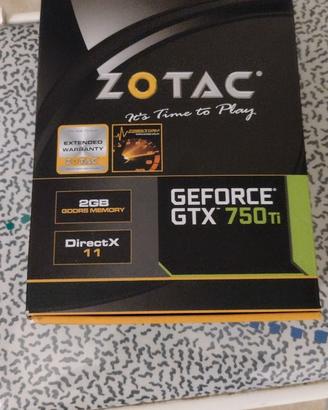 Scheda video Nvidia