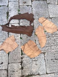 Vera Pelle italiana