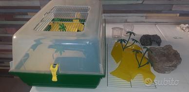 Vasca per tartarughe