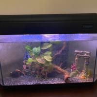 Acquario 120 litri