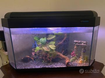 Acquario 120 litri