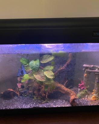 Acquario 120 litri
