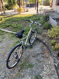 Bicicletta muscolare donna