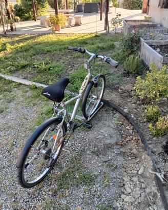 Bicicletta muscolare donna