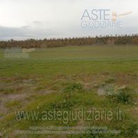 Terreno Agricolo Viterbo [A4332054]