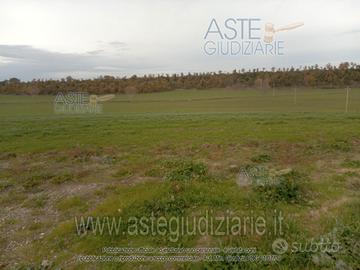 Terreno Agricolo Viterbo [A4332054]