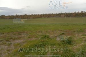 Terreno Agricolo Viterbo [A4332054]