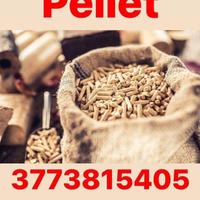 PELLET ENPLUS A1