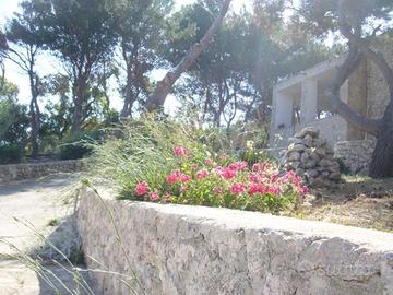 Villetta scogliera Leuca-Ciolo