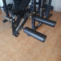 leg extension leg curl lacertosus palestra 