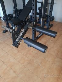 leg extension leg curl lacertosus palestra 