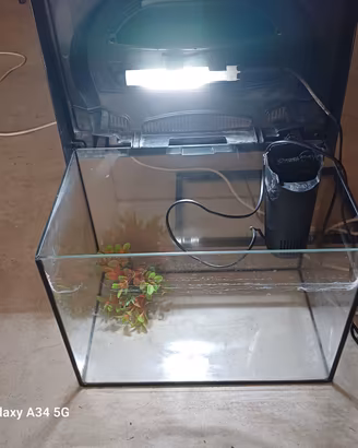 acquario