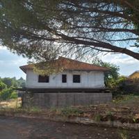 Rif. 972 struttura con terreno