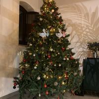 Albero di Natale alto