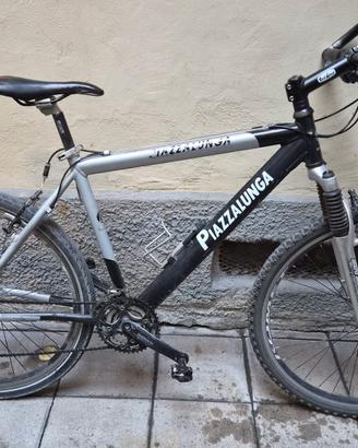 Bicicletta MTB