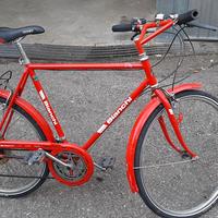 Bicicletta CITY BYKE BIANCHI, 14 rapporti