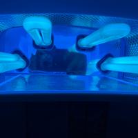 Fornetto UV unghia mano