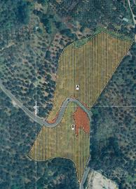 Terreno agricolo