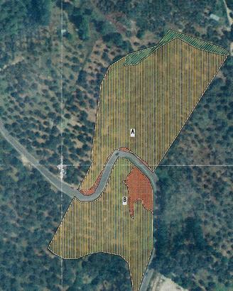 Terreno agricolo
