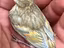 Immagine 3