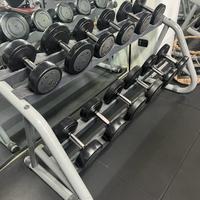 TECHNOGYM - serie di coppie manubri