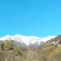 Attività di b&b e home restaurant