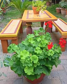 Tavolino da giardino con panche
