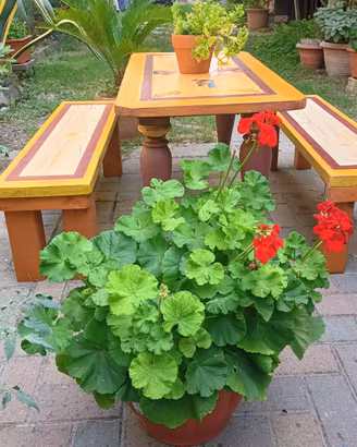 Tavolino da giardino con panche