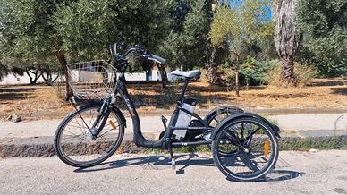 bicicletta elettrica a pedalata assistita 3 ruote