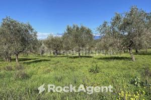 TERRENO AGRICOLO CON PERMESSO A COSTRUIRE APPROVAT