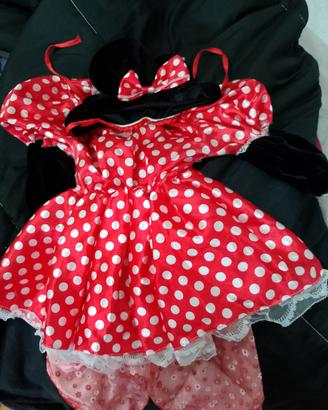 vestito di carnevale di Minnie 