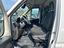 Immagine 7