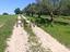 Immagine 12