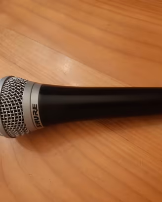 MICROFONO SHURE PG 48