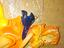 Immagine 3