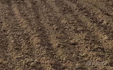Terreno libero