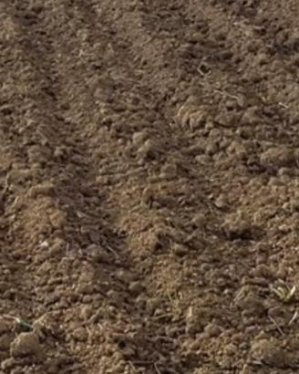Terreno libero