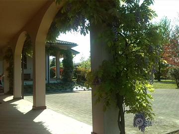 Immobile di 5500 m² con più di 5 locali a Alba