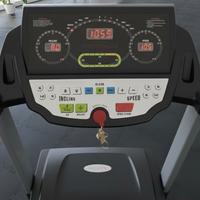 Tapis Roulant Lineaflex