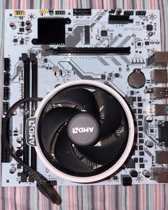 Scheda Madre Machinist B450 + AMD Ryzen 5 2400G