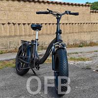 Bici elettrica fat NUOVA 750w con acceleratore 