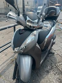 Sh 300 sport