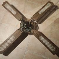 Ventilatore elettrico a pale